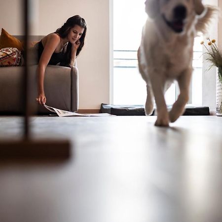 Sambucus Apartments -Premium Apartments For You And Your Dog Lana Eksteriør billede